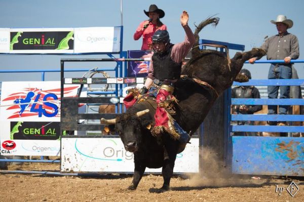 Bull riding, derniers shows du 4S Ranch de Glos-la-Ferrière, les 26 et 27 septembre 2020