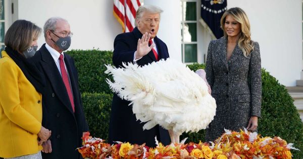 Donald Trump gracie la dinde "Maïs" pour Thanksgiving