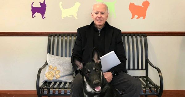 Une cérémonie d'investiture officieuse pour Major, le chien de Joe Biden