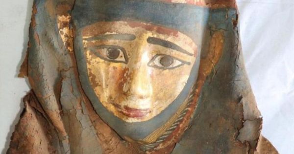 Égypte antique : de nouveaux trésors exceptionnels découverts dans la nécropole de Saqqarah