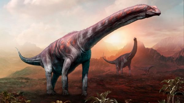 Ce dinosaure géant découvert en Argentine serait le plus grand animal terrestre de tous les temps
