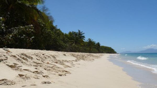 Vacances d'hiver : "on a des annulations en cascade vers les Antilles", déplore un professionnel du tourisme