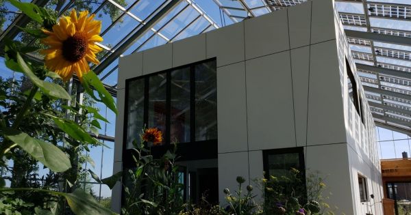 Habitat écologique : cet architecte a construit sa maison (et son jardin) sous serre