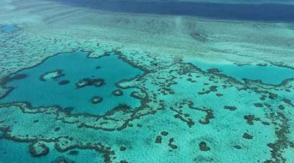 La Grande Barrière de corail « en danger » pour l'Unesco, l'Australie prête à contester