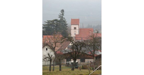 Pédocriminalité dans l'Eglise. Condamné en Alsace, un pasteur réembauché en Allemagne