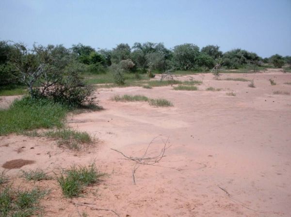 Le commissaire de la Cedeao présente les résultats de la lutte contre la désertification dans la sous-région