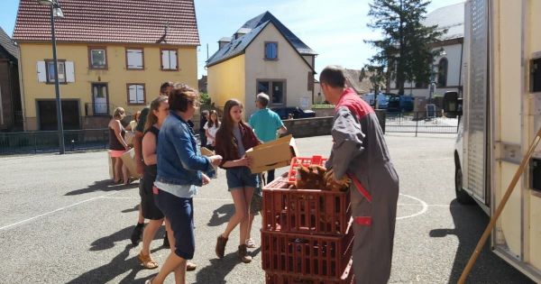 Grendelbruch. 160 poules distribuées aux habitants pour réduire les déchets
