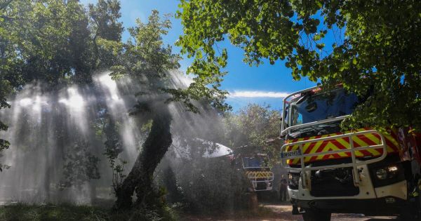 Incendie. Feu de forêt en Ardèche : le feu semble maîtrisé