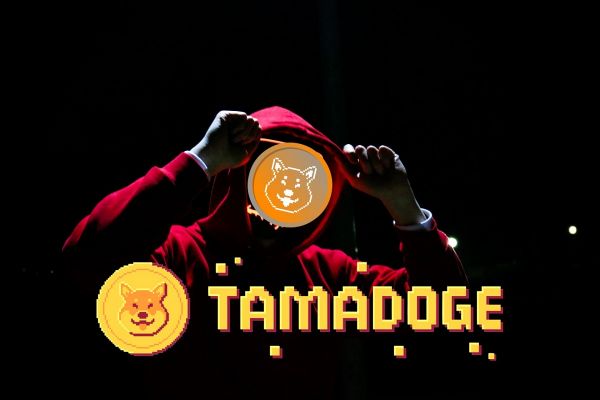 Tamadoge n'est pas une arnaque, voici pourquoi !