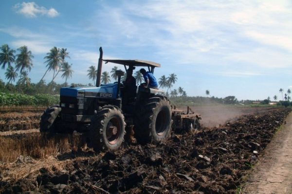 Pétrole en pause : retour à l'agriculture au Suriname ?
