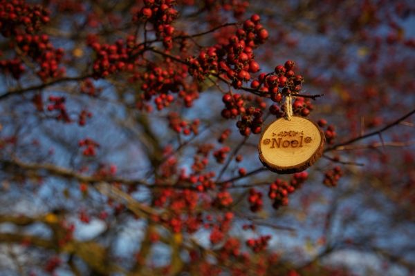 Tendance DIY : pour ces fêtes de fins d’année, la décoration de Noel en famille !