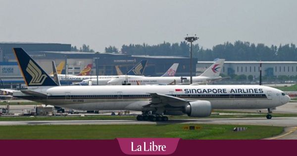 Un couple remboursé de son vol vers Singapour après avoir subi les ronflements et les flatulences d'un chien