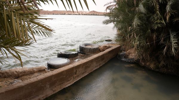 Tchad: L'engagement de Chad Volunteers Organization en faveur de l'environnement à travers le nettoyage du Lac Ouniaga