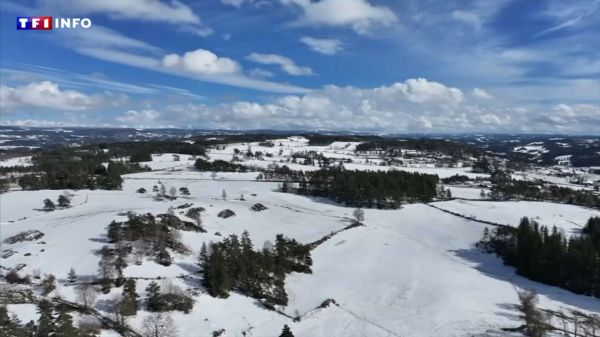 "Je ne m'attendais pas à ça" : 20 centimètres de neige en Haute-Loire... au début du printemps | TF1 INFO