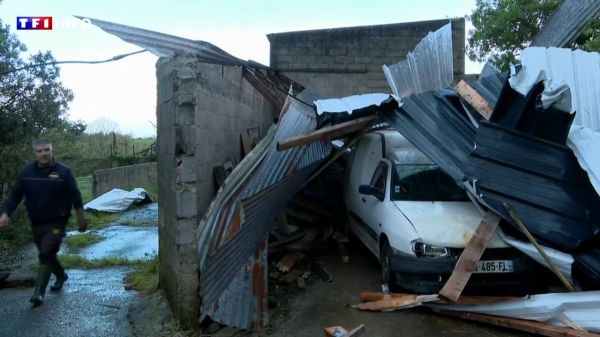 "En 30 secondes, plus rien" : la tempête Nelson provoque d'importants dégâts dans le Grand Ouest | TF1 INFO