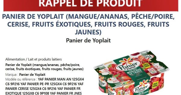 Consommation. Des yaourts Panier de Yoplait rappelés dans toute la France