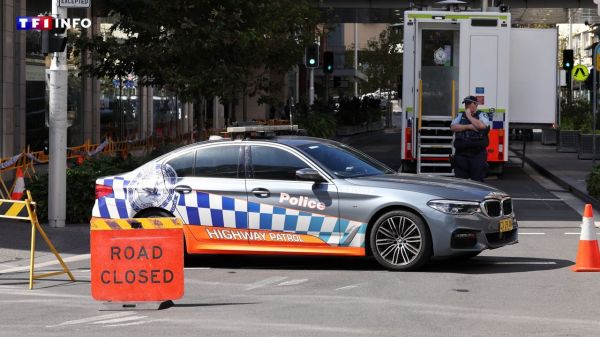 Attaque au couteau mortelle à Sydney : l'assaillant semble avoir ciblé les femmes | TF1 INFO