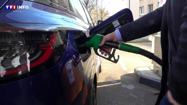 VIDÉO - "Il y en a pour 10.000 euros" : les voitures de ces Girondins ont toutes de l'eau dans le carburant | TF1 INFO