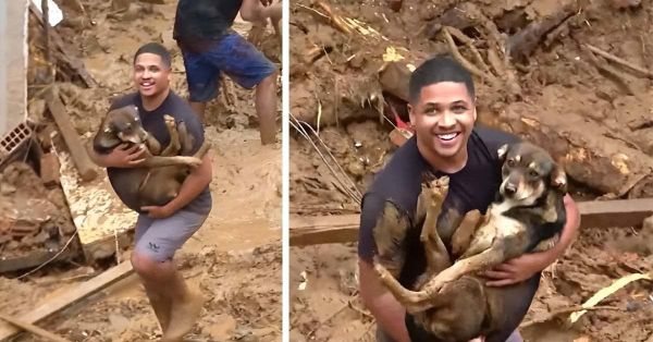 Sauvetage miraculeux : Un jeune homme retrouve son chien après un glissement de terrain à Petrópolis, Rio de Janeiro