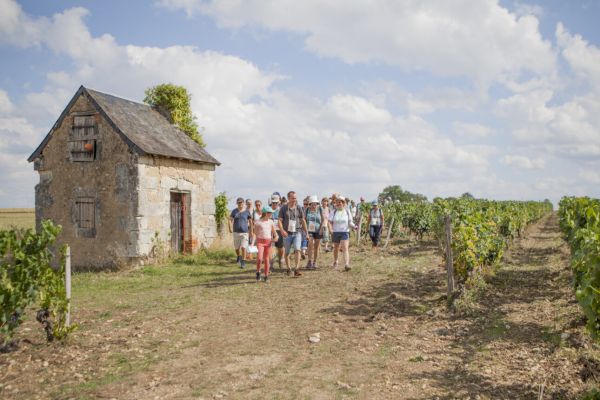 Œnotourisme 2023, le beau bilan des vignobles du Val de Loire 