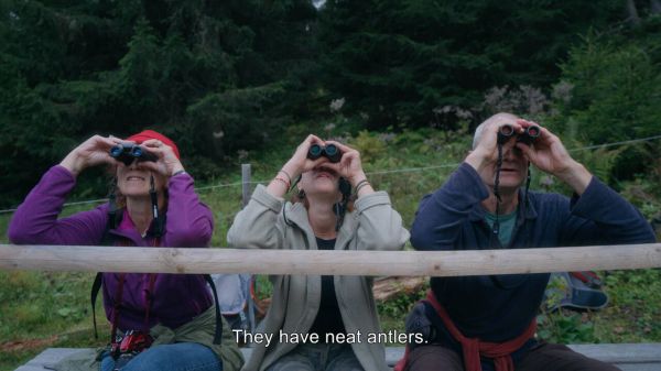 A Visions du Réel, un film suisse sur les traces du loup