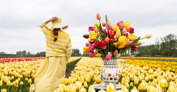 Fête des tulipes 2024 à Saint-Denis