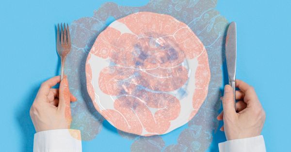 Les microplastiques pourraient "migrer" de l'intestin vers les reins, le foie et le cerveau