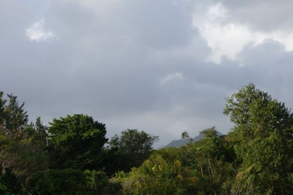 Mauvaise qualité de l'air en Martinique à cause d'un nouvel épisode de brume de sable