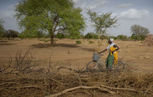 Afrique : Derrière la vague de chaleur si meurtrière au Sahel, un changement climatique « d'origine humaine »