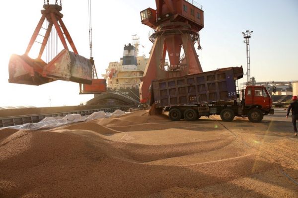 La Tunisie achète 25 mille tonnes de blé dur à 376,49 $ la tonne