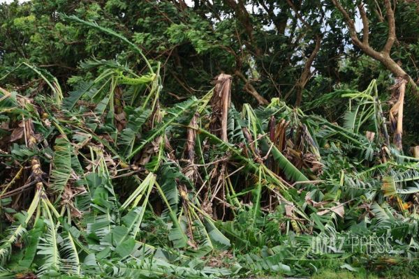 Cyclone Belal : près de 2,2 millions d'euros d'aides versées à La Réunion