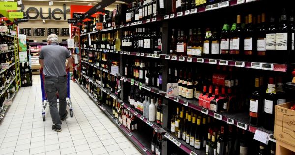 Infographies. Le vin, alcool favori des Français devant la bière et le champagne
