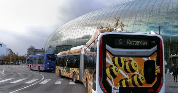 Strasbourg. BHNS : gros succès, un bus supplémentaire dès septembre