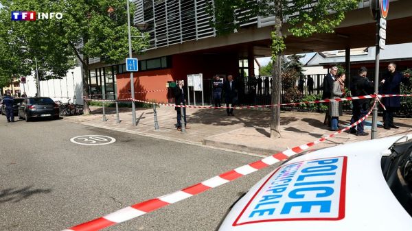 Alsace : la famille de la collégienne décédée en marge d'une attaque au couteau a porté plainte | TF1 INFO