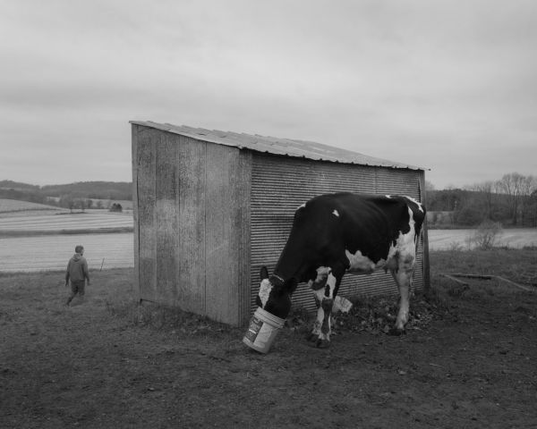 Dormant Season – Une vie rurale capturée par Erinn Springer