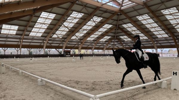 REPORTAGE. Paris 2024 : "Mon cheval m'a permis d'accepter mon handicap"... Les paradresseurs français évoquent leur relation à part avec leur monture