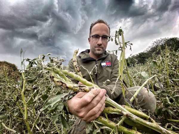 "On a presque tout perdu": deux épisodes de grêle en 4 jours ont laminé les champs de cet agriculteur azuréen