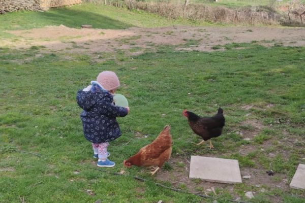 Voici comment deux poules ont changé le quotidien de cette famille auvergnate