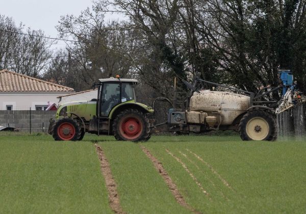 Politique agricole commune : le Parlement européen remise les exigences environnementales au placard