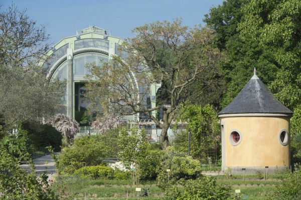 Paris : le jardin des Plantes, havre de paix à deux pas de la gare d’Austerlitz