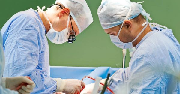Une femme reçoit une transplantation historique : la combinaison d’une pompe cardiaque et d’un rein de porc !