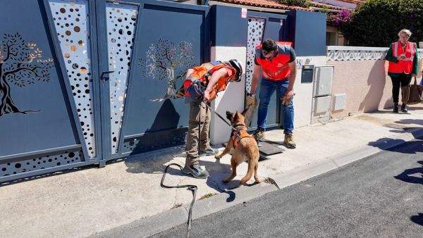Sécheresse dans les Pyrénées-Orientales : des chiens renifleurs de fuites d'eau engagés dans la bataille contre le gaspillage