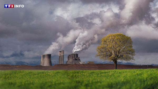 Stockage de CO2 : dans quelles régions françaises trouvera-t-on des "puits de carbone" pour l'enfouir ? | TF1 INFO
