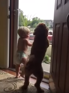 Ce bébé et ce chien font tous les deux la danse de la joie