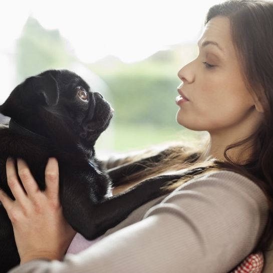 Parler à son animal domestique serait une preuve d'intelligence