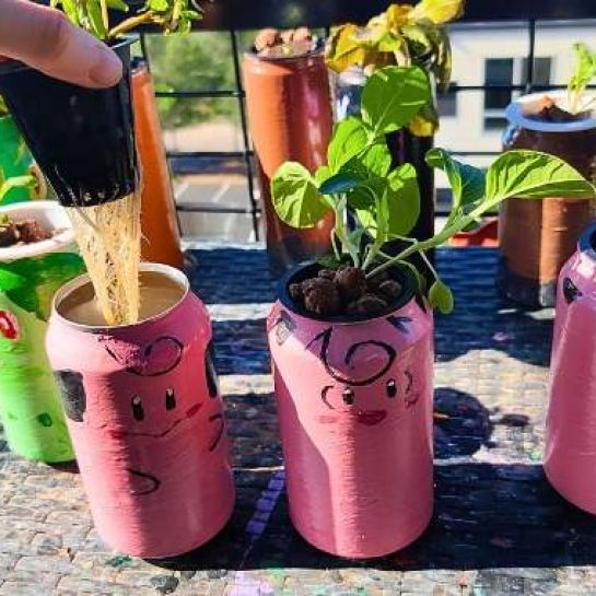 Ne Jetez Plus vos Canettes : Transformez-les en Pot de Fleurs.