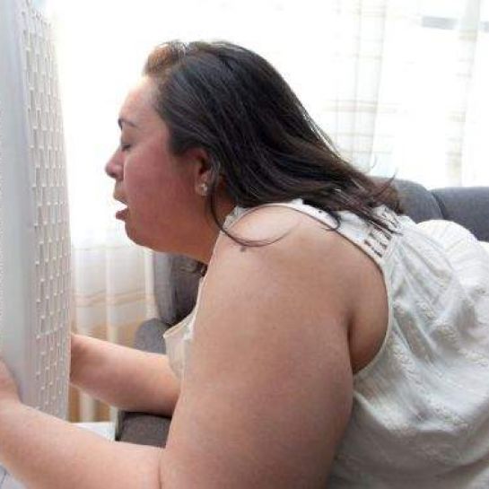Rafraîchir Son logement Sans Climatisateur : 10 Astuces Écolos et Efficaces.