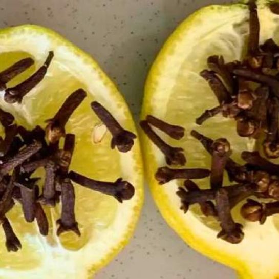 Clou de Girofle et Citron : 7 Bienfaits Méconnus pour la Santé.