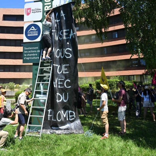 Des milliers d'opposants à la loi Duplomb mobilisés ce week-end en France