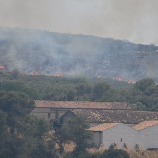 DIRECT Incendie dans l'Hérault : 200 pompiers toujours sur place, un feu "maîtrisé"... suivez la situation en live